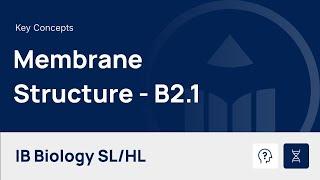 Membrane Structure video thumbnail